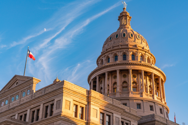 Texas House Bill 4806